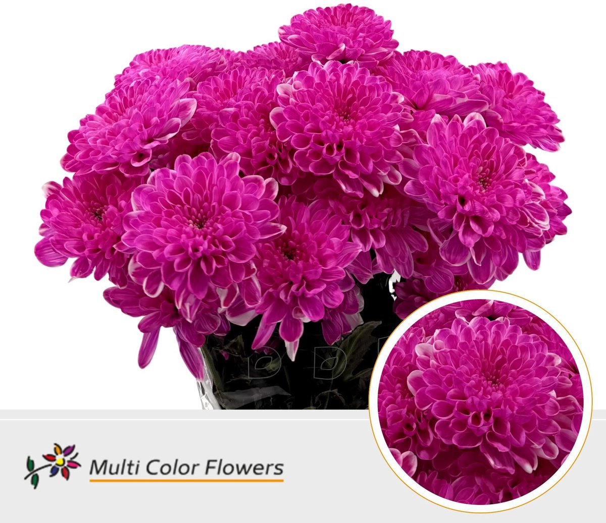 10x Chrysant overig 60cm