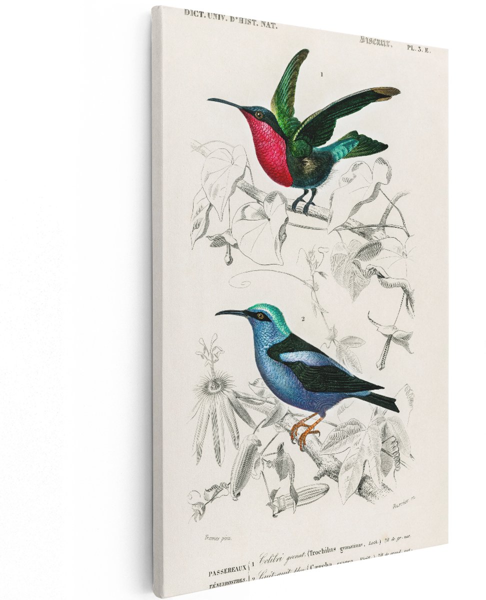 Artaza Canvas Schilderij Vogels - 120x180 cm - Groot - Wanddecoratie Kolibrie - Muurdecoratie Vintage - Decoratie Dieren - Schilderijen Op Canvas