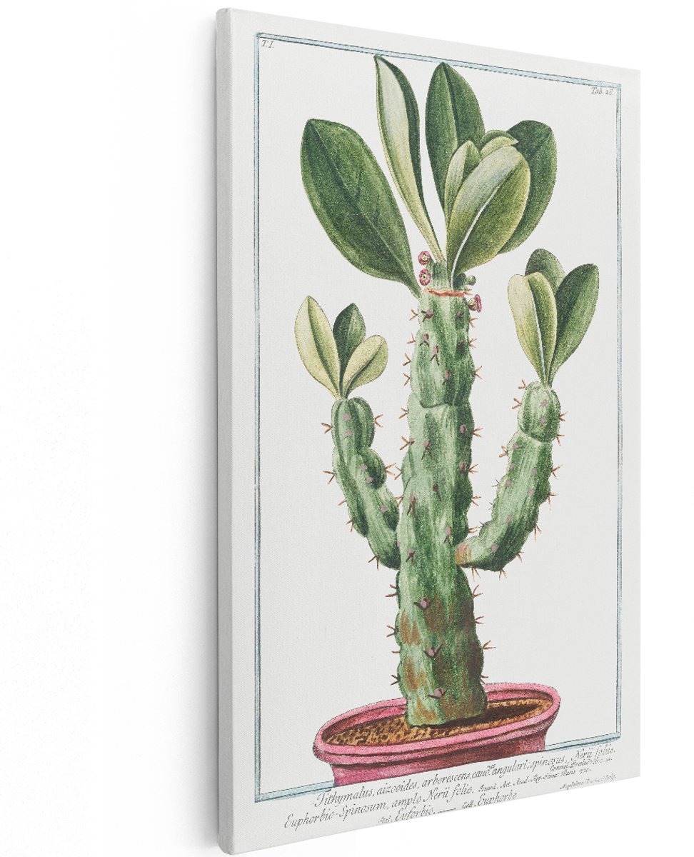 Artaza Canvas Schilderij Cactus - 120x180 cm - Groot - Wanddecoratie Vintage - Muurdecoratie Botanisch - Decoratie Plant - Schilderijen Op Canvas
