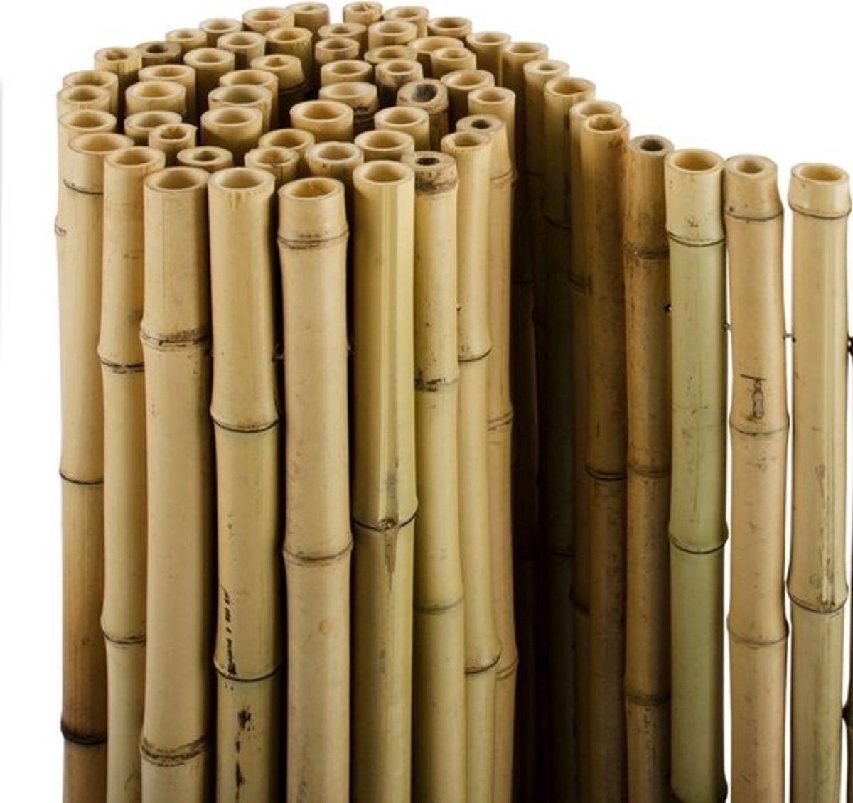 Bamboe Inkijkbescherming - Bamboemat Privacy - Tuin Balkon - Massieve Buis Constructie - 150 x 250 cm - Naturel