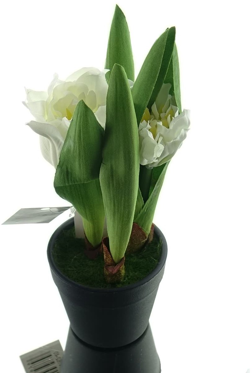 Gasper Tulpen Wit in Zwarte Minipot 19 cm - Kunstplant