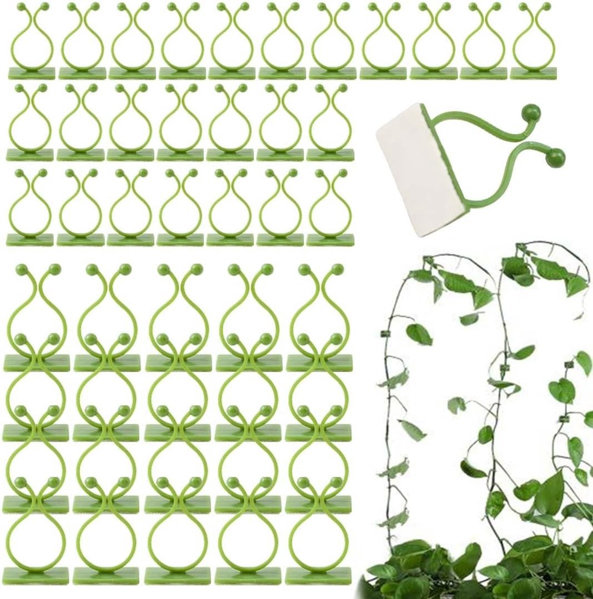 Plantenclips voor tomaten: 50 stuks onzichtbare plantenhouders, 25 klein en 25 middelgroot, ideaal voor tuinieren en ondersteuning van groei