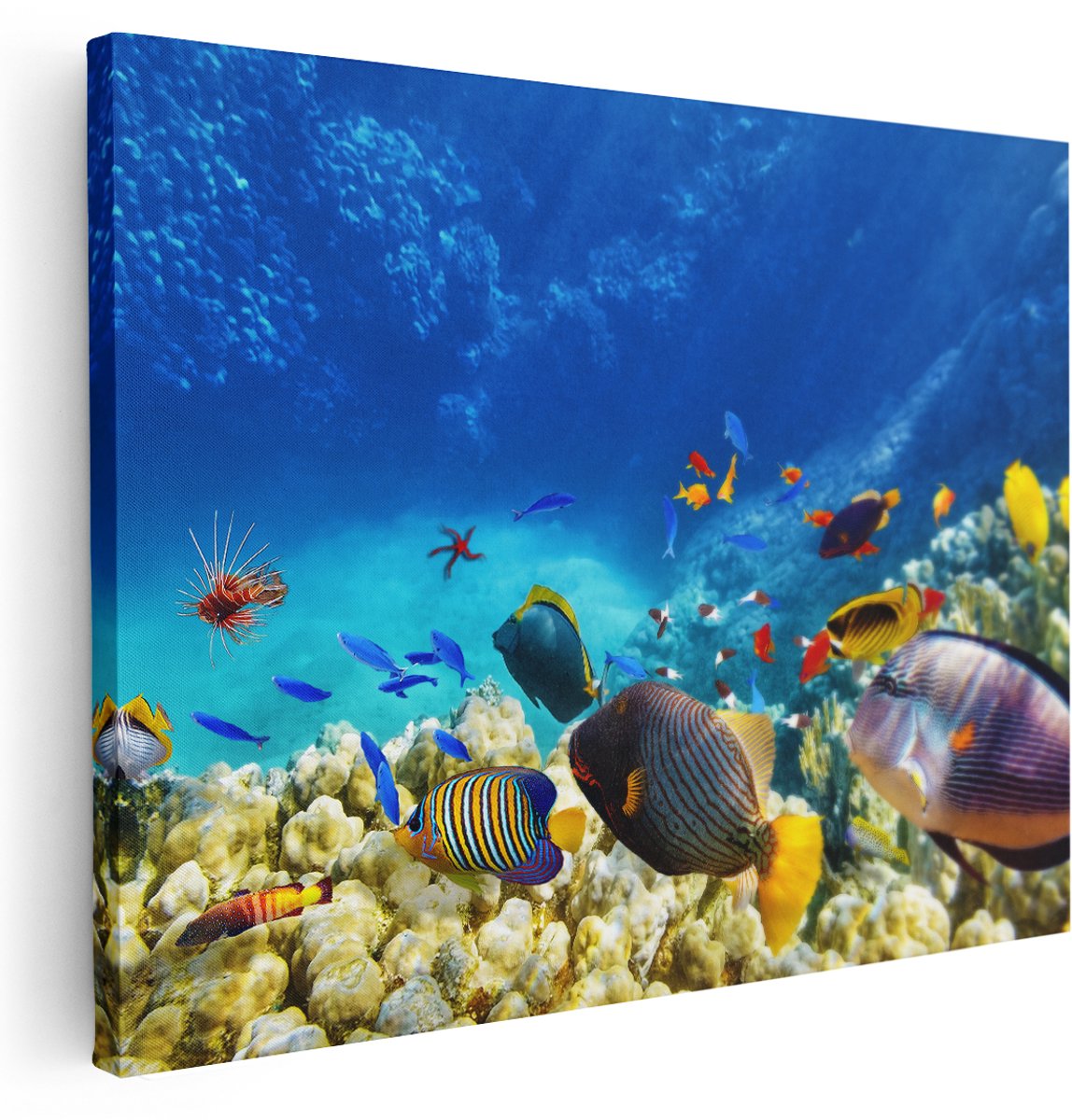 Artaza Canvas Schilderij Vissen in de Oceaan met Koralen - 160x120 cm - Groot - Wanddecoratie Woonkamer - Schilderijen - Muurdecoratie