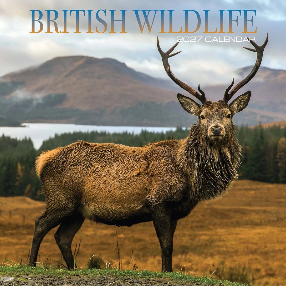 British Wildlife Kalender 2027