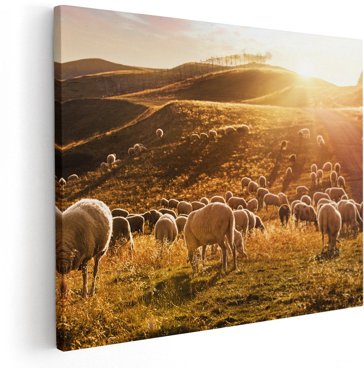 Artaza Canvas Schilderij Schapen in de Heuvels bij Zonsondergang - 150x120 cm - Groot - Wanddecoratie Woonkamer - Schilderijen - Muurdecoratie