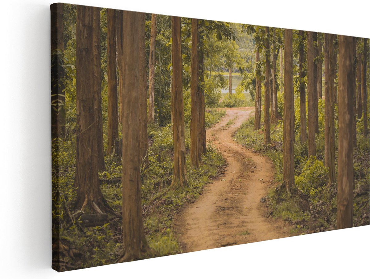 Artaza Canvas Schilderij Pad In Het Bos Met Bomen - 160x80 cm - Groot - Wanddecoratie Woonkamer - Schilderijen - Muurdecoratie