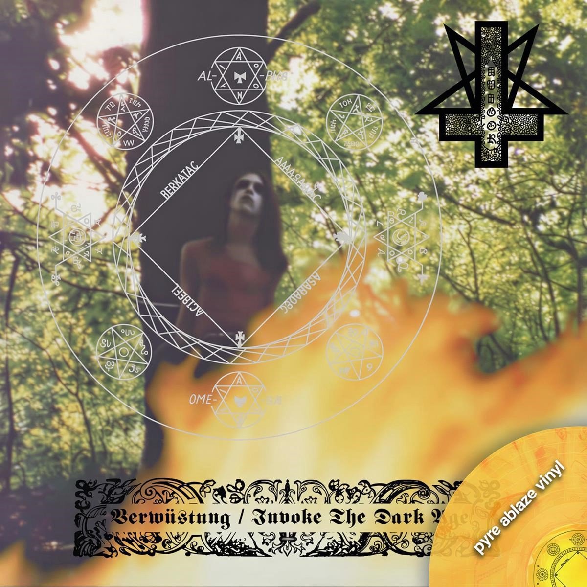 Verwüstung/Invoke the Dark Age