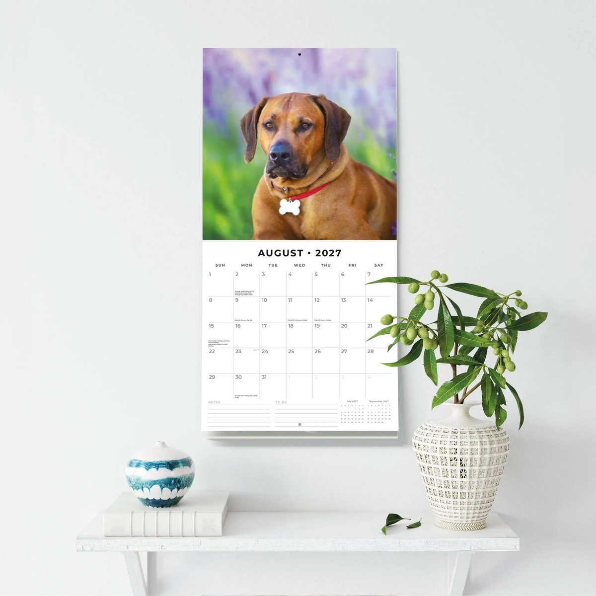 Rhodesian Ridgeback Kalender 2027