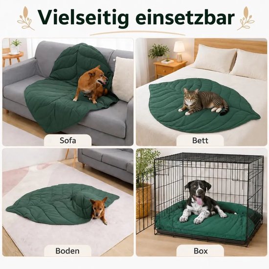 Groen bladkleed op een bank, bed, vloer en in een hondenbox. Met tekst: Veelzijdig inzetbaar, Sofa, Bed, Bodem, Box.