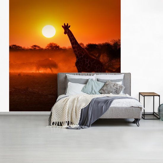 Behang - Fotobehang Giraffe - Zon - Savanne - Breedte 350 cm x hoogte 350 cm