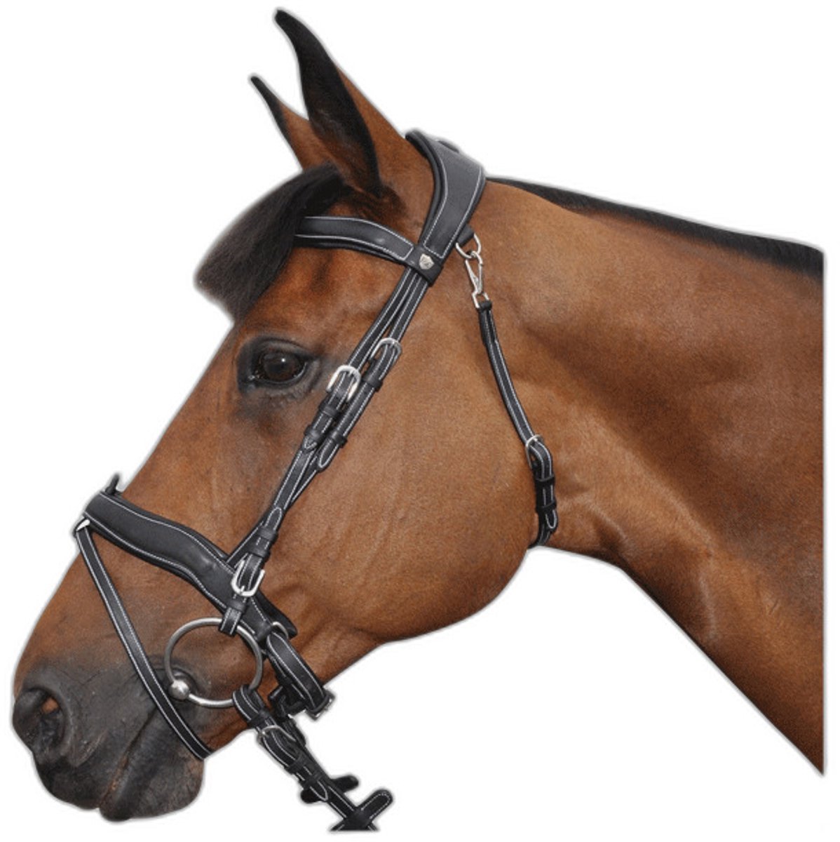 Gecombineerde hoofdstellen Flags&Cup Comfort
