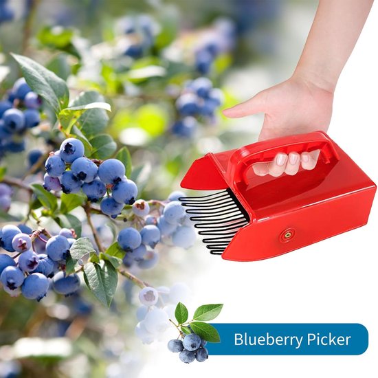 Bessenplukker - Bessenkam - Kunststofkam - Blauwe bessenkam - Fruitplukker - geschikt voor blauwe bessen en veenbessen - 22x 14 x 7,5 cm - Rood van Merkloos	 — afbeelding 4