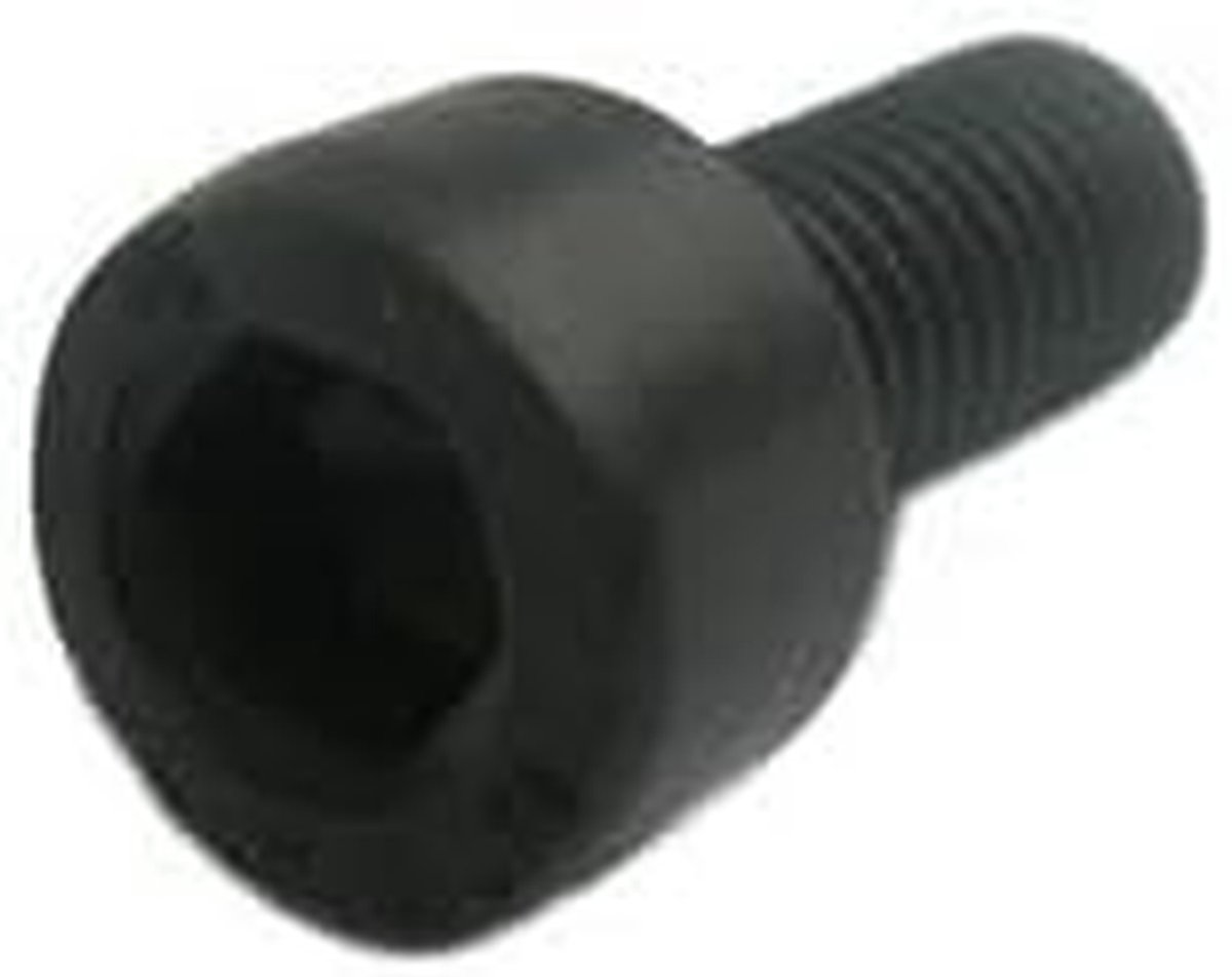 Inbus Cilinderkopschroef - Zeskant Schroef - Bevestigen van materialen - Hoge sterkte 12.9 - M12x340 mm - Zwart