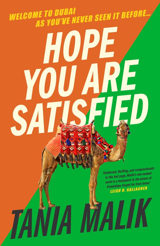Hope You Are Satisfied - cover