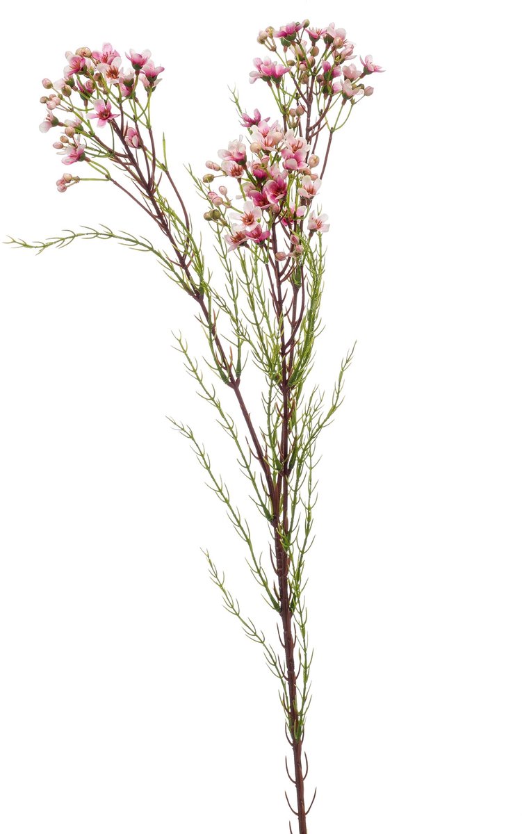 Emerald Kunstbloem Wasbloem 78cm roze - Kunstplant voor binnen