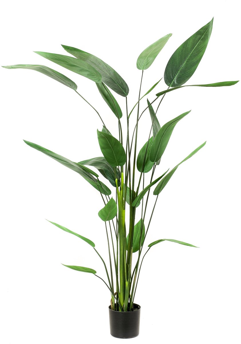 Emerald Kunstplant Heliconia 175cm - Kunstplant voor binnen Groen