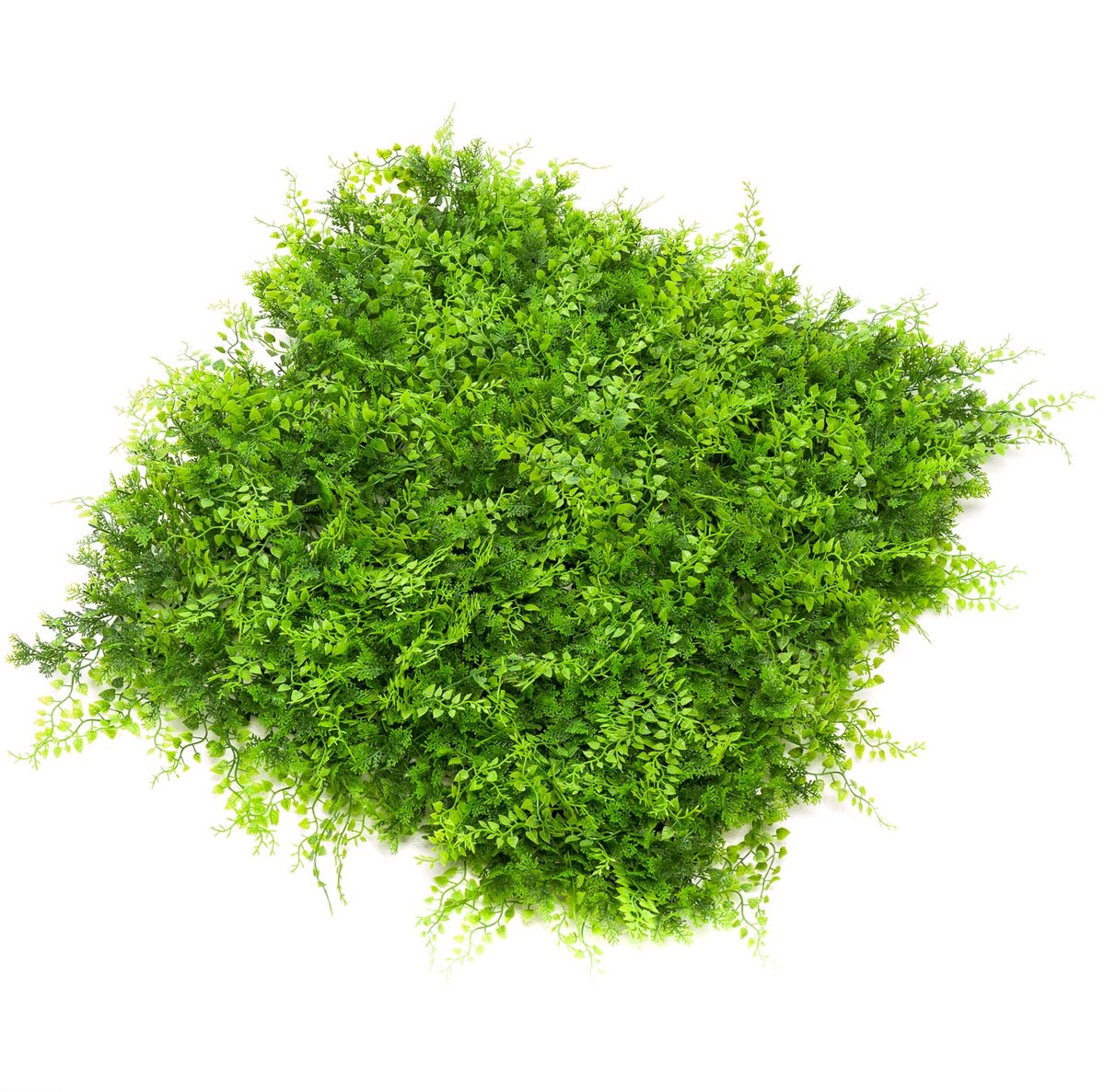 Emerald Kunst Plantenwand Varen/juniperus UV 50x50cm - Kunstplant voor binnen Groen