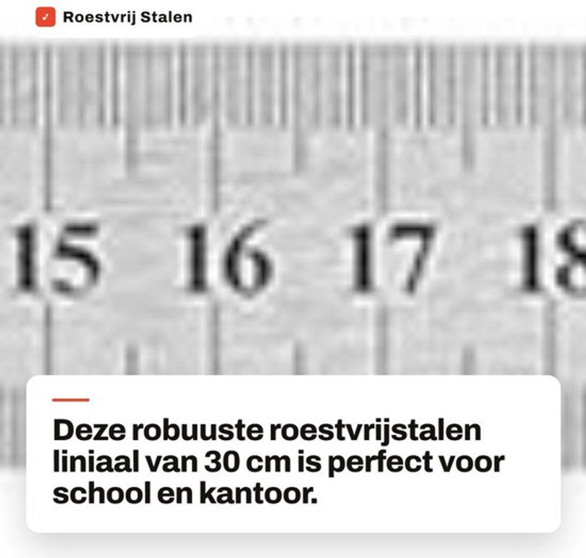 Liniaal 30 cm - Roestvrij Staal - Kantoortekenliniaal - Duidelijke Schaal - Meten in Centimeter/Voet - Hoogwaardig en Sterk - Meetlat