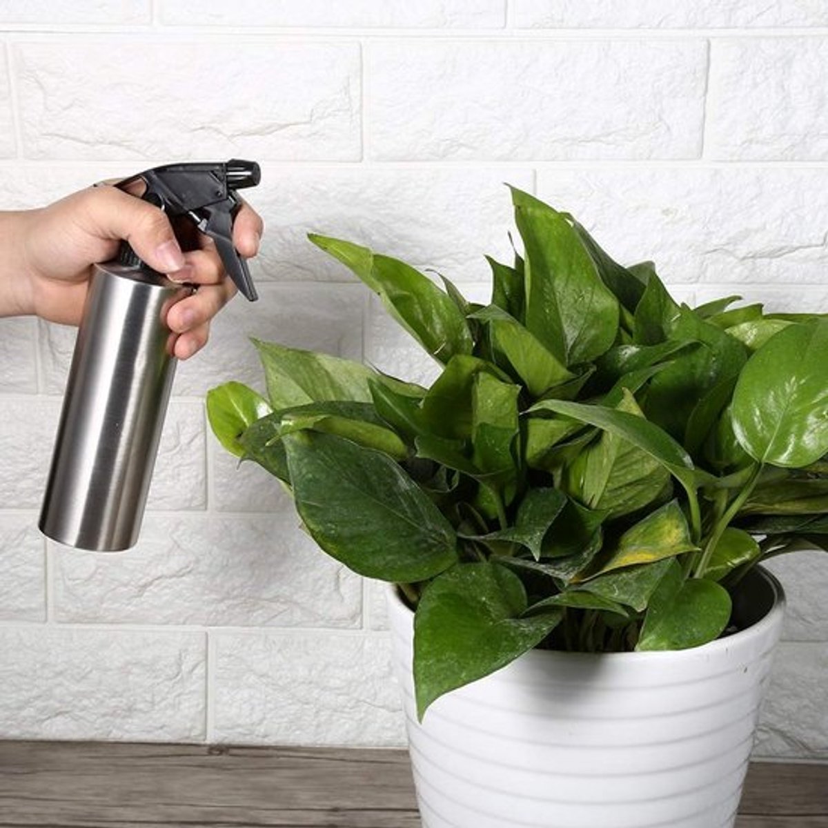 Plantensproeier 350 ml - Roestvrij Staal - Handdruk - Lichtgewicht - Draagbaar - Pompsproeikop met instelbare straal - Sproeifles