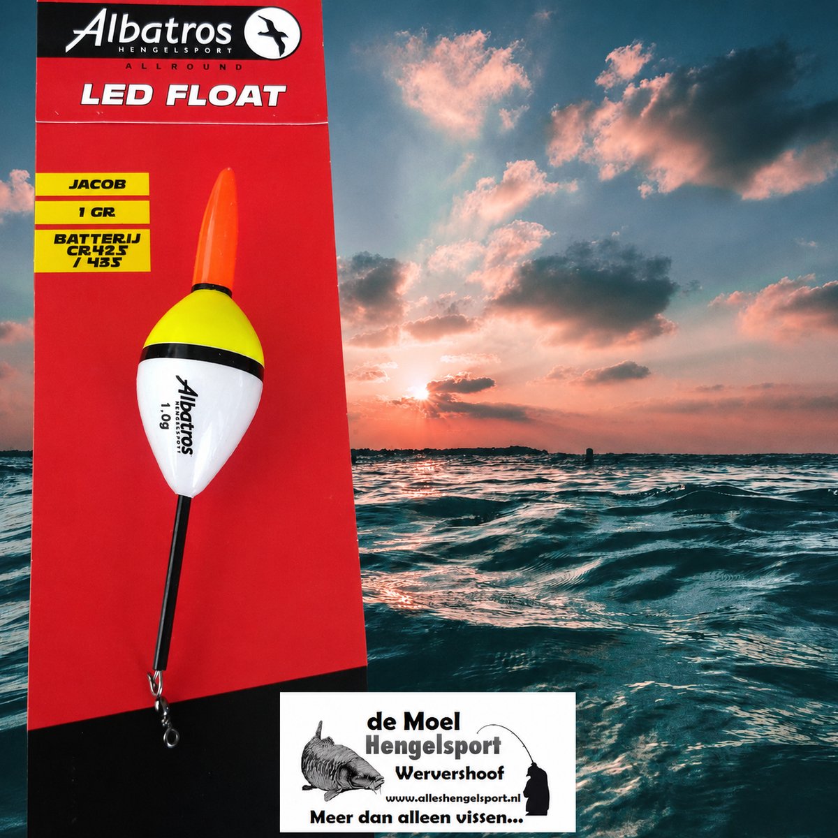 Albatros LED Float Jacob 1 gram batterij dobber voor avond- en nachtvissen