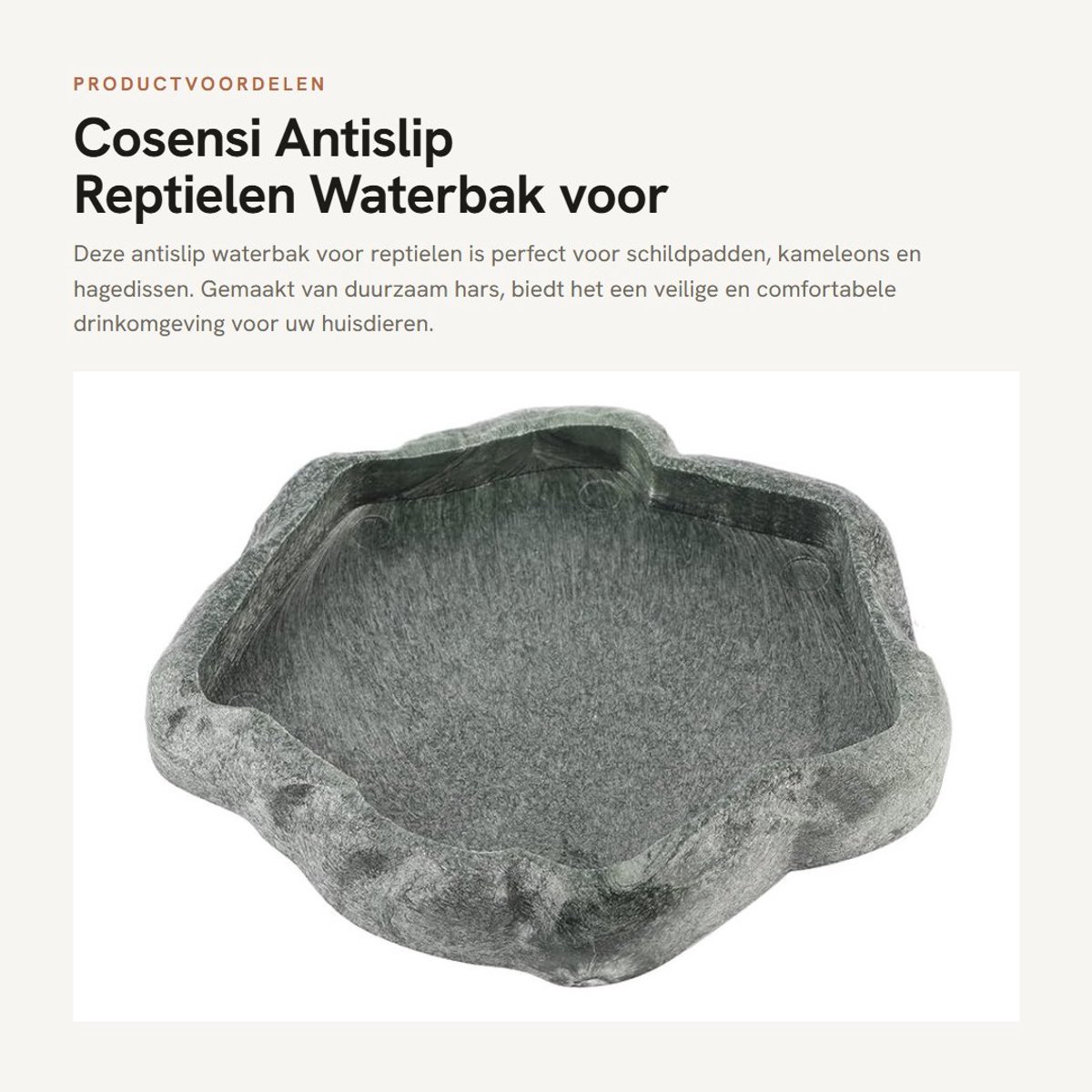 Dailygoods- Waterbak Antislip - Reptielen Feeder - Hars - Groene M - 18x14x2cm - Schokbestendig. - Reptielenvoerbak