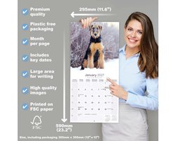 Airedale Terrier Kalender 2027