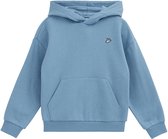 WE Fashion Jongens hoodie met embroidery