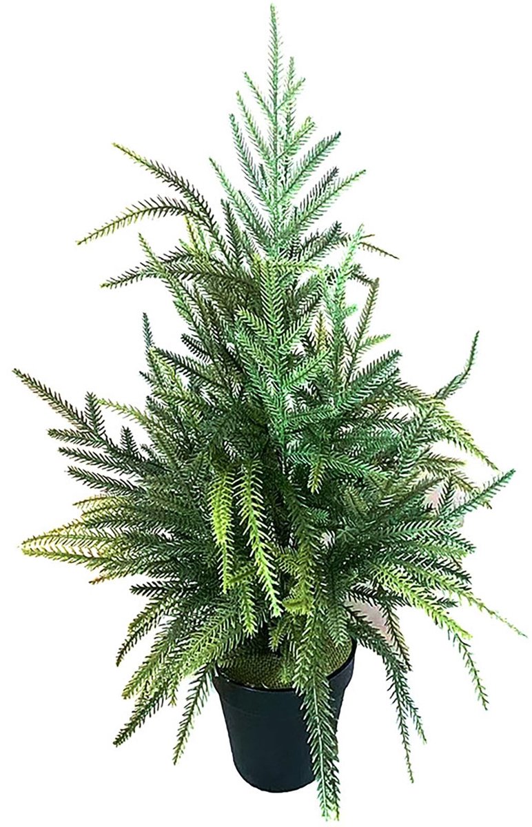 Dailygoods- Kunstmatige Kerstboom 60 cm - Norfolk Pine - Realistisch Rubber - Onderhoudsvrij - Pot voor Stabiliteit - Geschikt voor Binnen/Buiten Decor - Nepboom