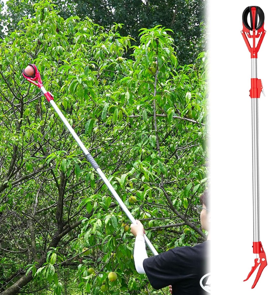 Fruitplukker Telescoopsteel - Fruitgrijper Bessenplukker - Fruit Oogsten - Lichtgewicht Aluminium - Tot 3 Meter - Zilver