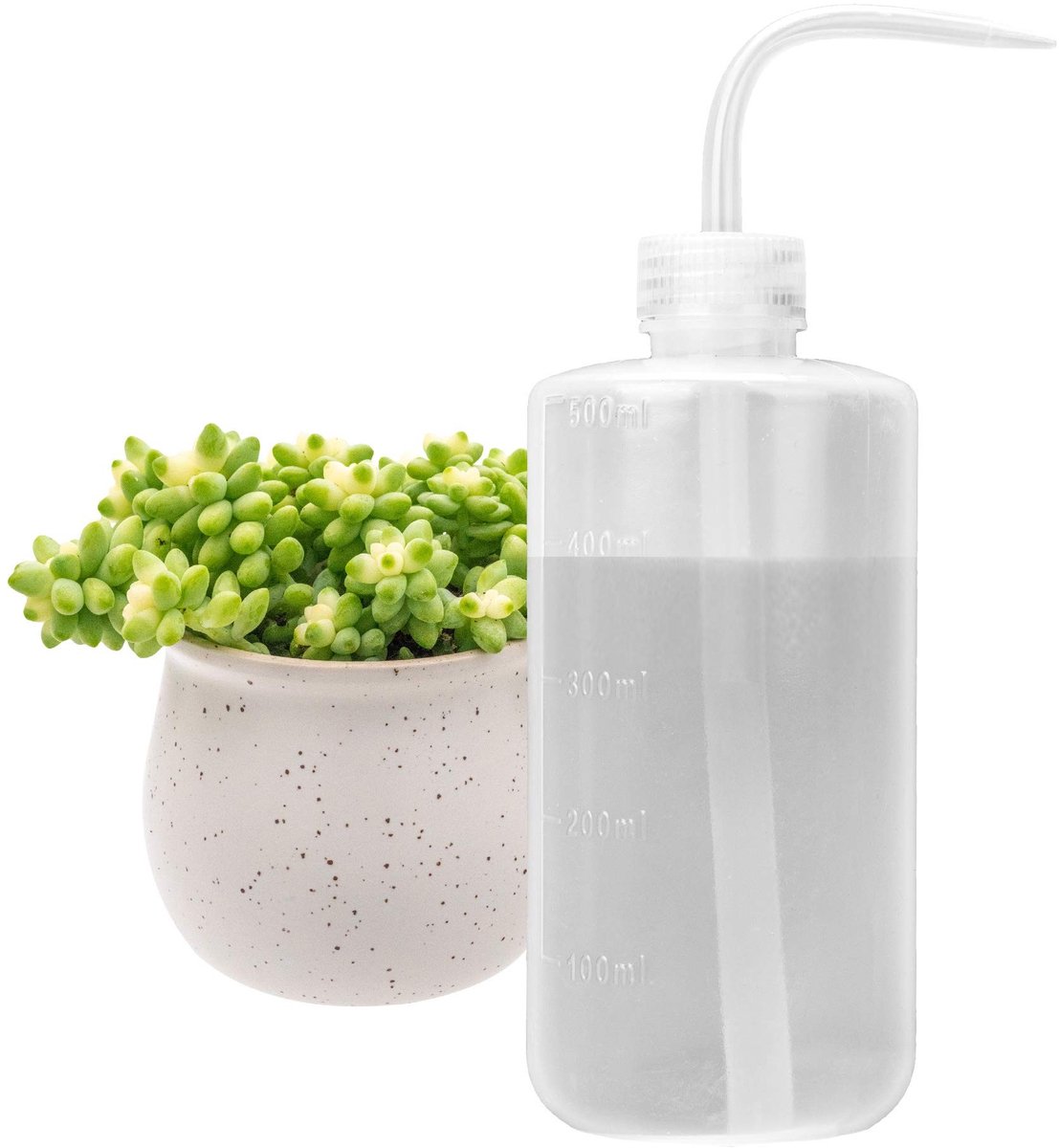 Dailygoods- Irrigatie 500 ml - Plantengieter voor binnen - Schenktuit - Duurzaam kunststof - Ideaal voor kleine potten - Flexibel en gemakkelijk te gebruiken