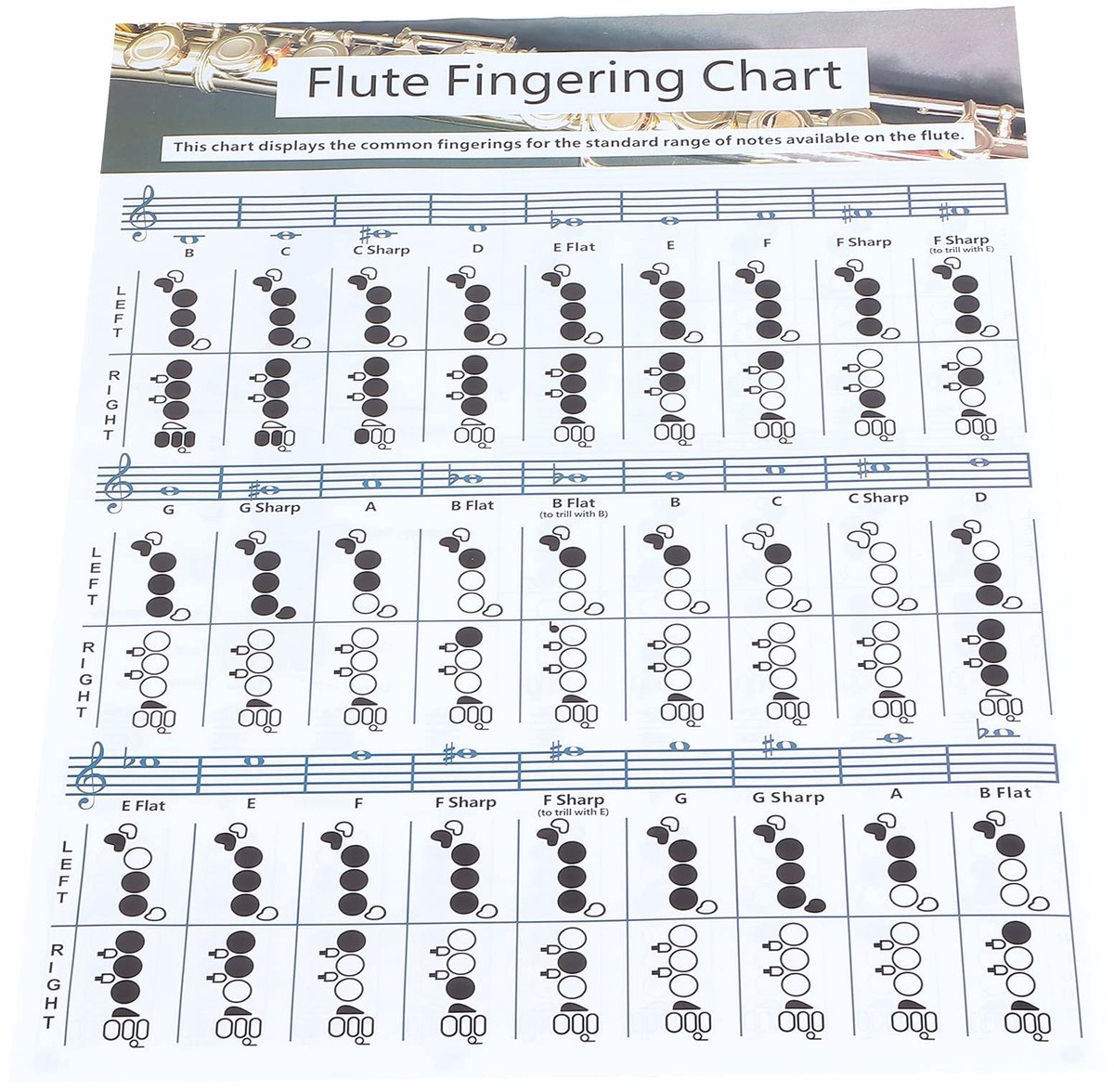 Dailygoods- Fluitvingerzetting Oefenschema - Draagbaar Akkoordenschema - Beginners - Muzieklessen - Thuisoefeningen - Hoogwaardig Gecoat Papier