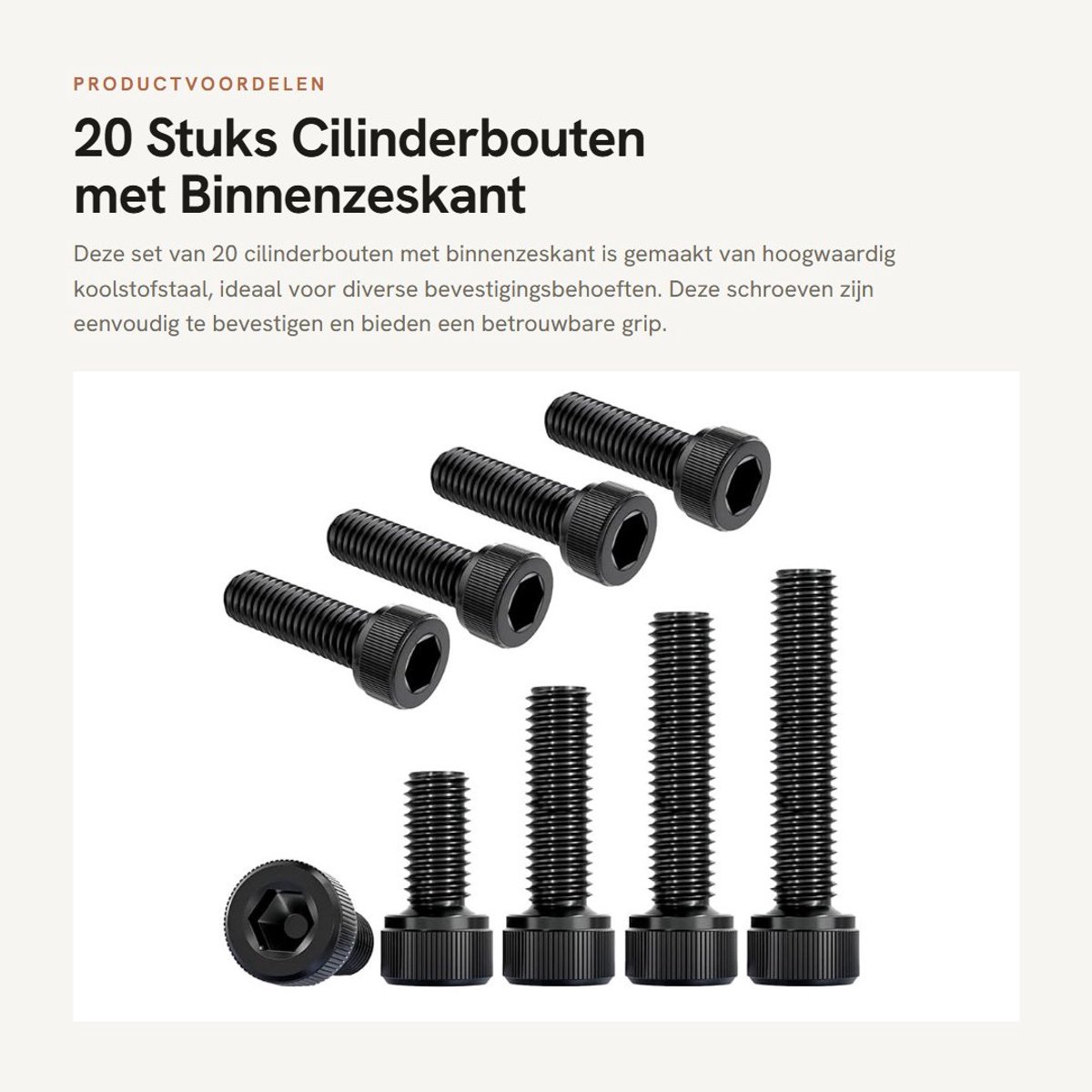 Dailygoods- Cilinderbouten 20 Stuks - Binnenzeskant M3x19mm - Koolstofstaal - Bevestigingselementen - Hoge stijfheid - Corrosiebestendig - Schroeven