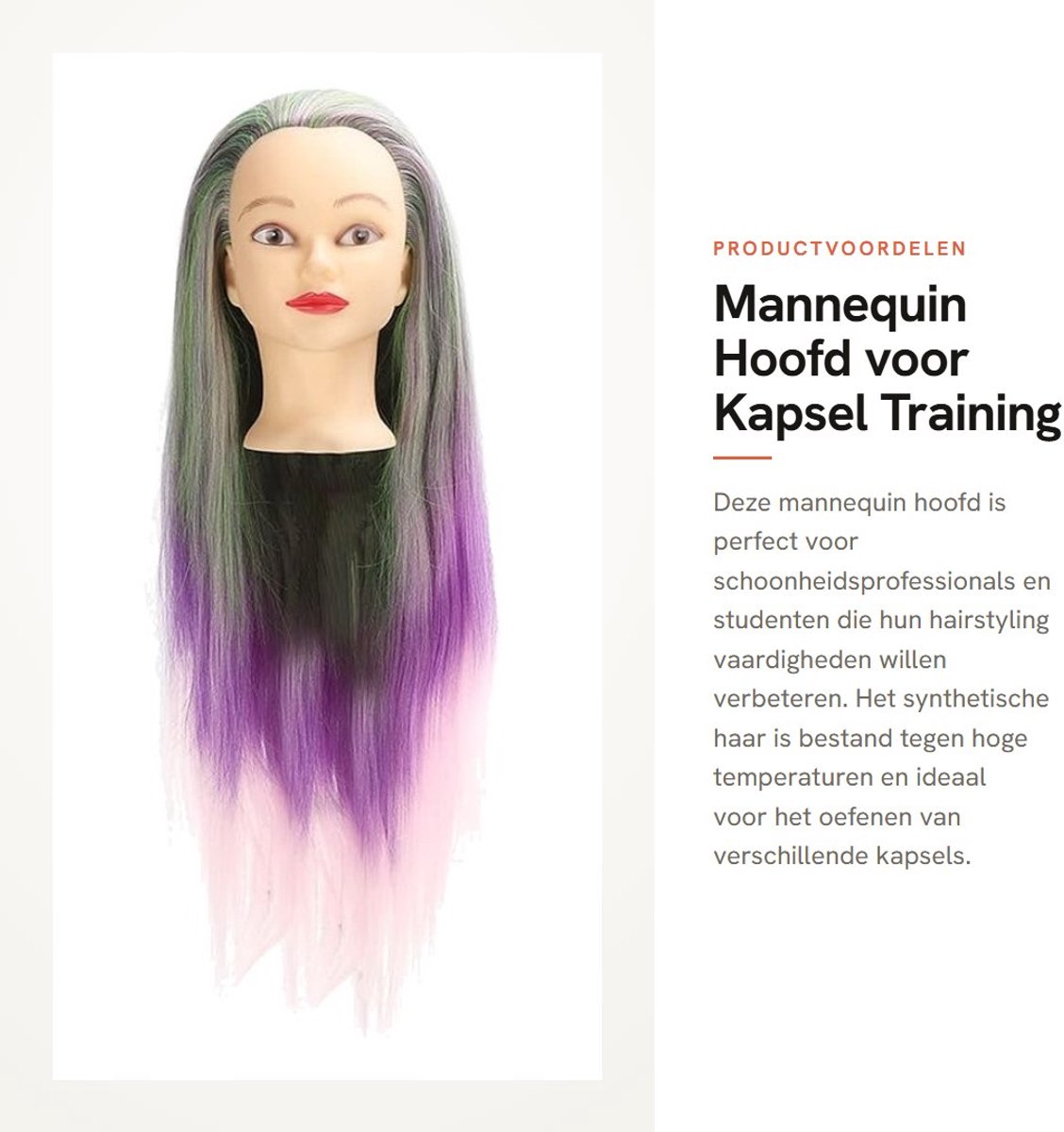 Dailygoods- Pruik paarsgroen kleurverloop - Mannequinhoofd - Synthetisch haar - Haarvlechten - Styling - Praktisch voor schoonheidsstudenten - Haarpop