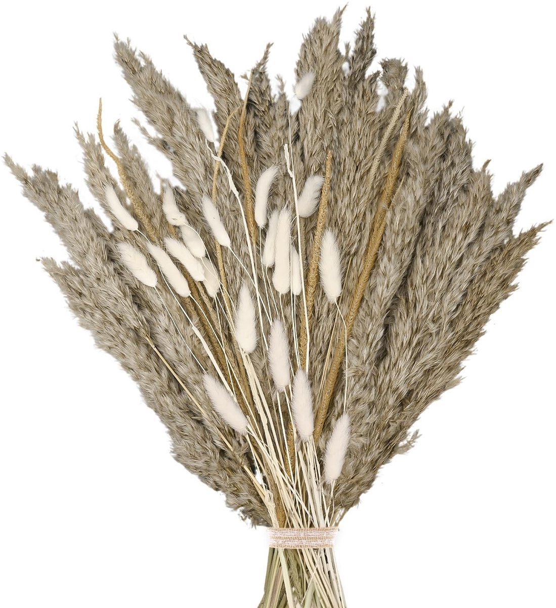 Dailygoods - Gedroogde Bloemen Boho Boeket - Pampasgras en Konijnenstaarten