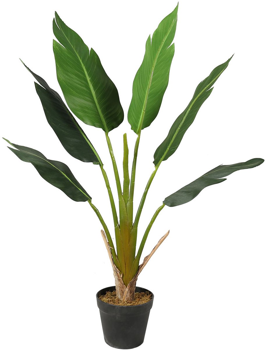 Lykke Kunstplant Strelitzia Boom 90cm green