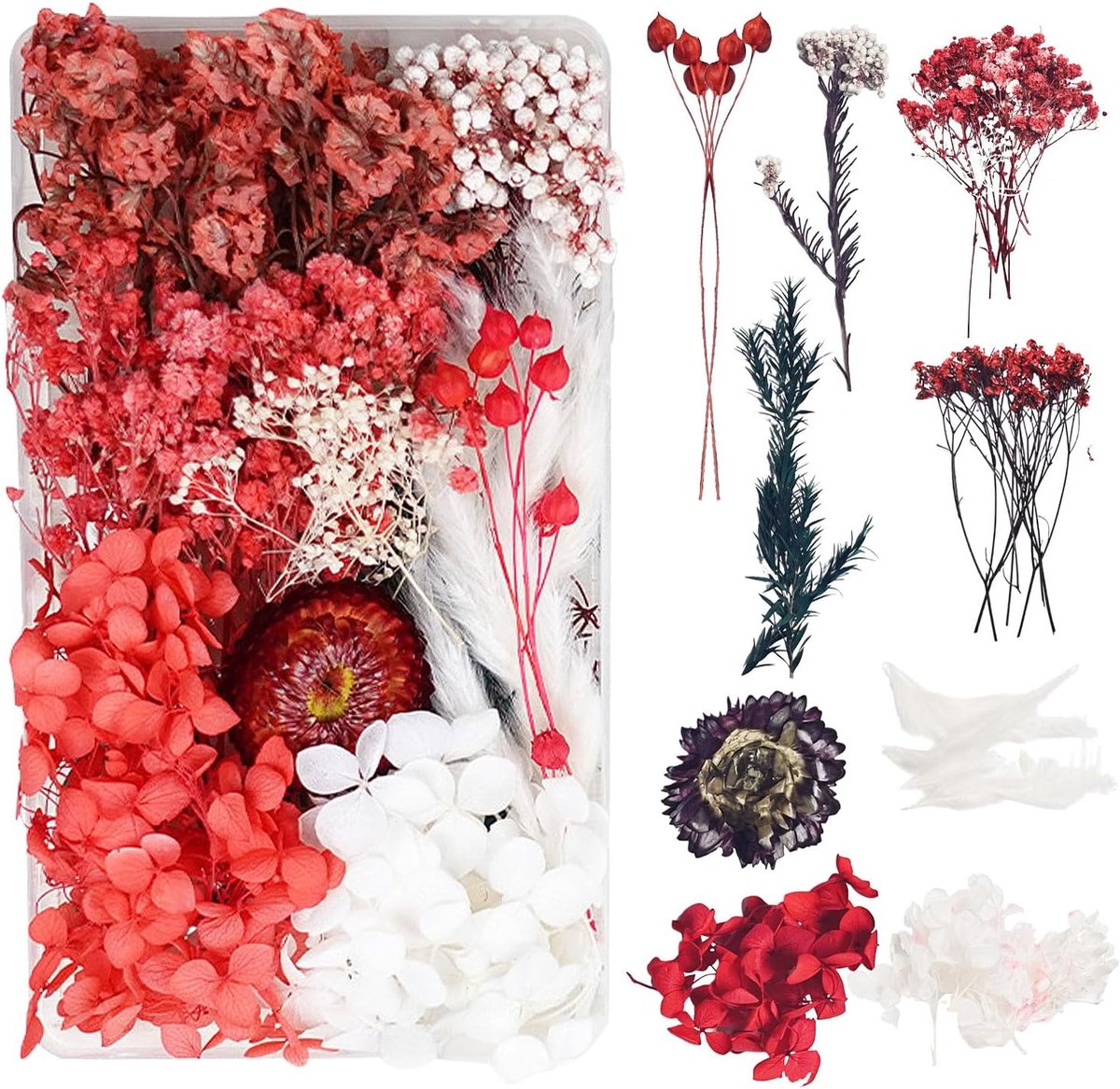 SnelShoppen - Decoratieve Gedroogde Bloemen voor Epoxyhars - Bloemenboeket Crafting Decoraties - 10 Soorten Rode Gedroogde Bloemen voor Scrapbooking e