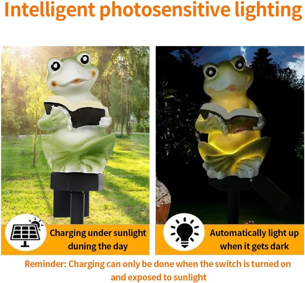 SnelShoppen - Solar Powered Frog Reading Light - Tuin Decoratie - Schattige Dier Lamp - Draadloze Dusk to Dawn LED Lamp - Waterdicht - Natuurlijke Har
