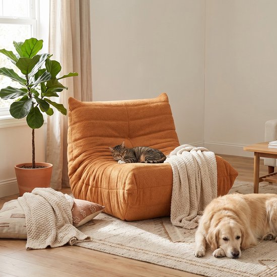 Oranje pluche zitzak met kat erop, naast een hond in een woonkamer.