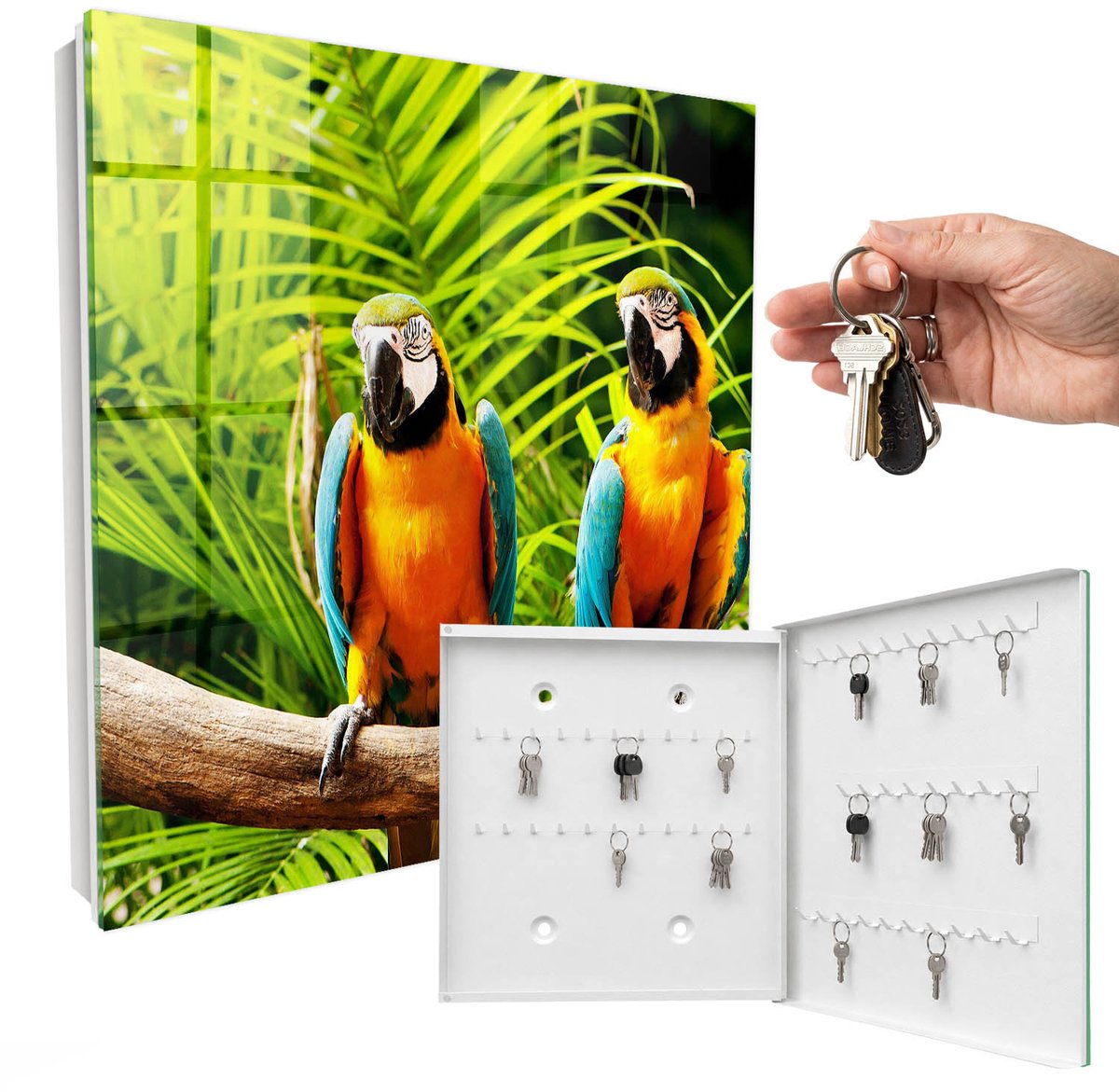 WallMuralia - Sleutelkast - 30x30x5 cm - met 50 haken - Tropische Vogels Sleutelkastje Gang - Groente Sleutelbox - Rechtsopenend - Wit interieur
