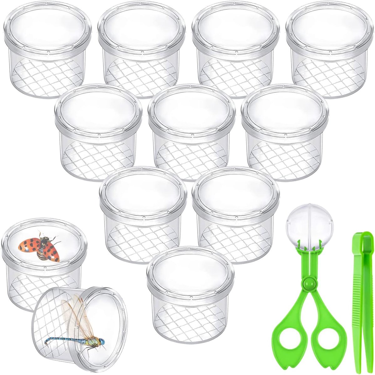 Bekervergrootglas voor kinderen, vergrootglas, 12 stuks, voor wetenschap/biologie en verzameling van insecten, onderzoeksset voor kinderen