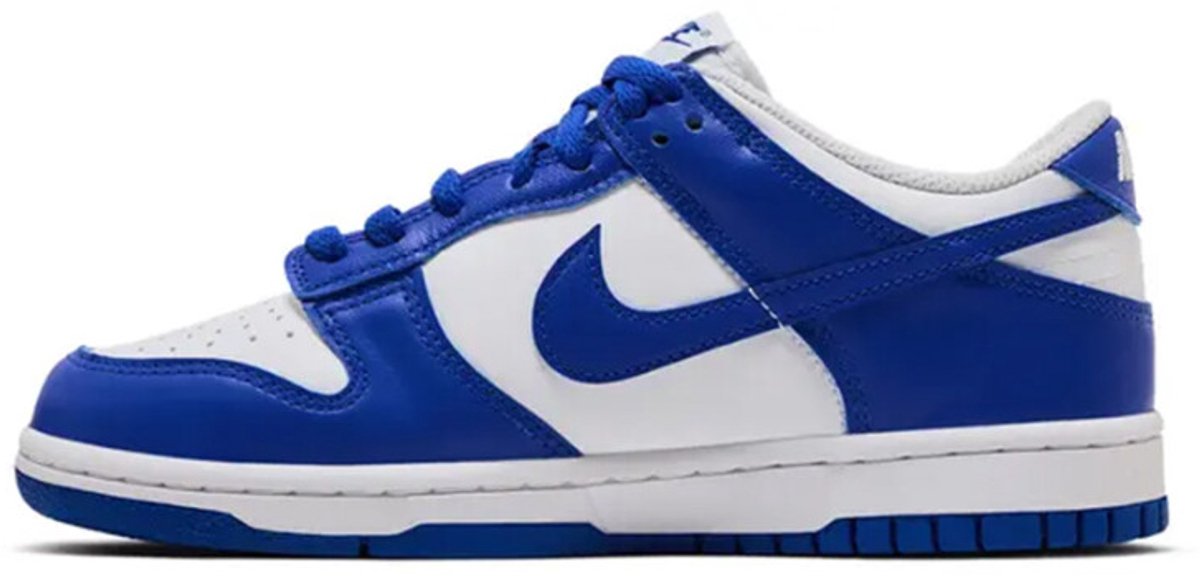 NIKE DUNK LOW FB9109-131 Nike Sneakers FB9109-131 Veelkleurig