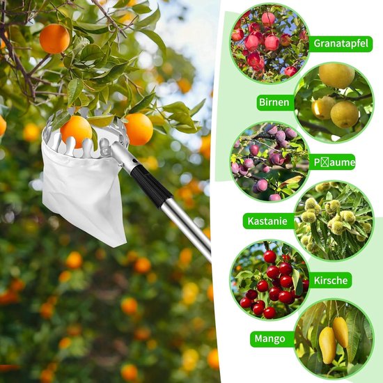 Fruitplukker Telescoopsteel - Appelplukker Pruimenplukker - Fruit Oogsten - Verstelbare Lengte - 4 Meter - Zilver — afbeelding 3