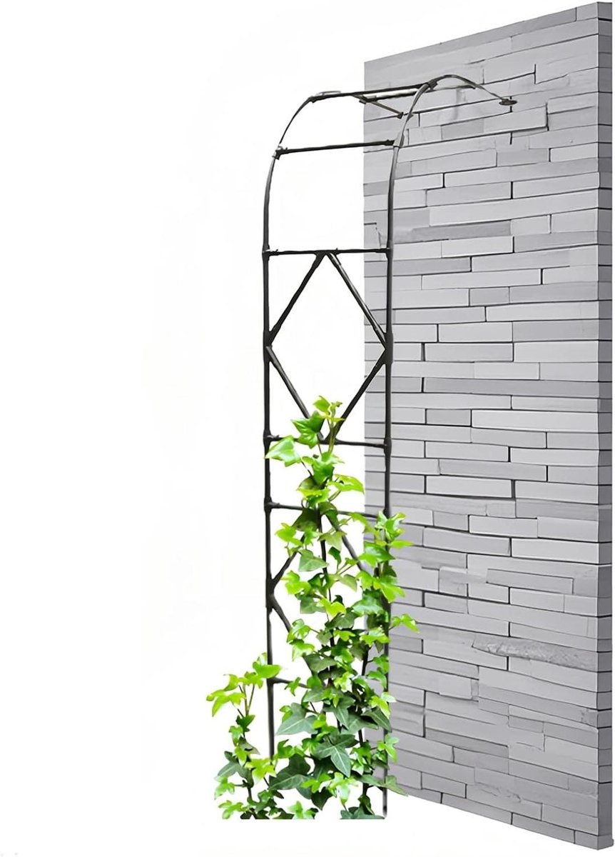 Tuinroos klimboog - Rozenboog metaal - Plantensteun tuin - Half gebogen ontwerp - 220 x 240 cm - Zwart