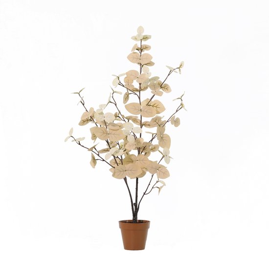 Kunstmatige eucalyptusplant met lichte, beige bladeren in een bruine pot.