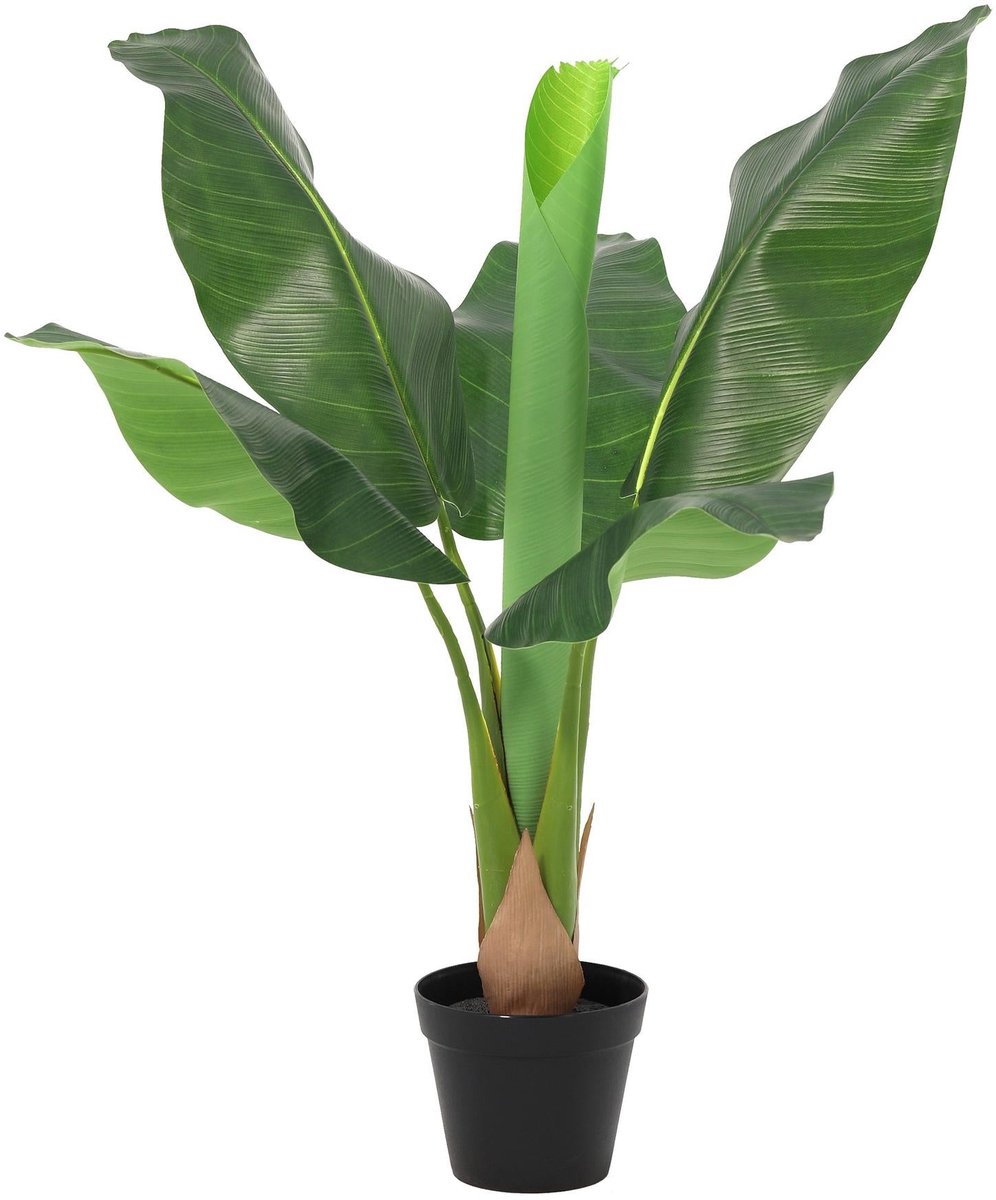 Trendyplants - Kunst Bananenplant Musa - Bananenplant - Kunstplant - Hoogte 80cm - Potmaat Ø16cm