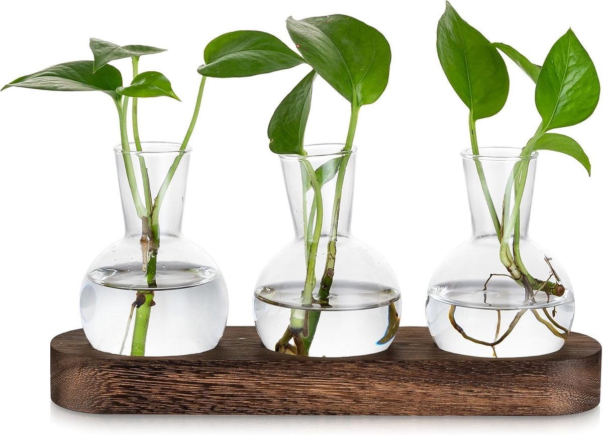 SnelShoppen - Glazen Plant Vermeerderingsstation met 3 Vazen en Bruine Houten Tray voor Decoratie van Woonkamer Tafel - Desktop Terrarium voor Hydropo