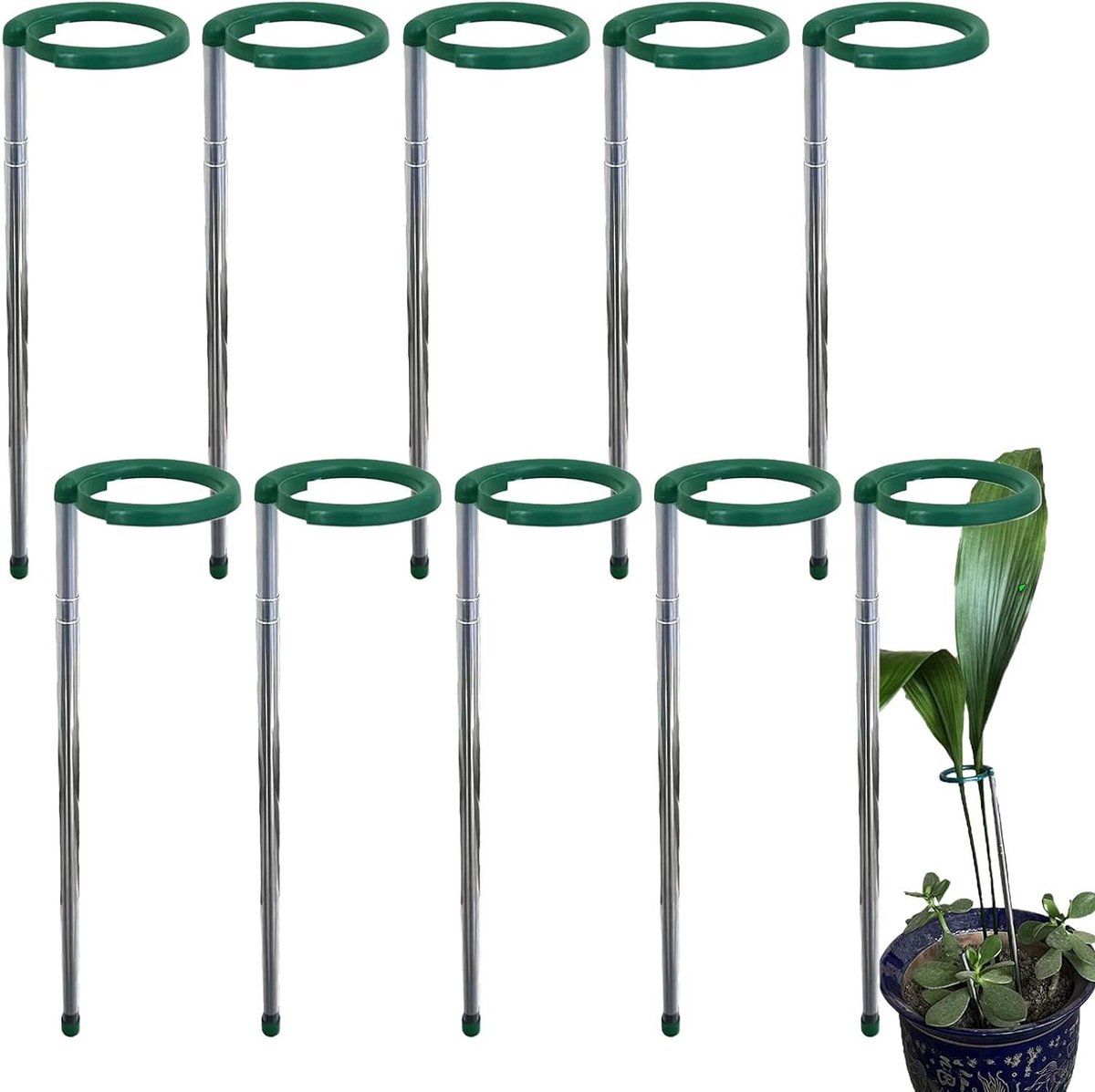 Plantensteunen - Steunstokken Planten - Planten Ondersteunen - Uittrekbaar Ontwerp - 10 Stuks - Staal