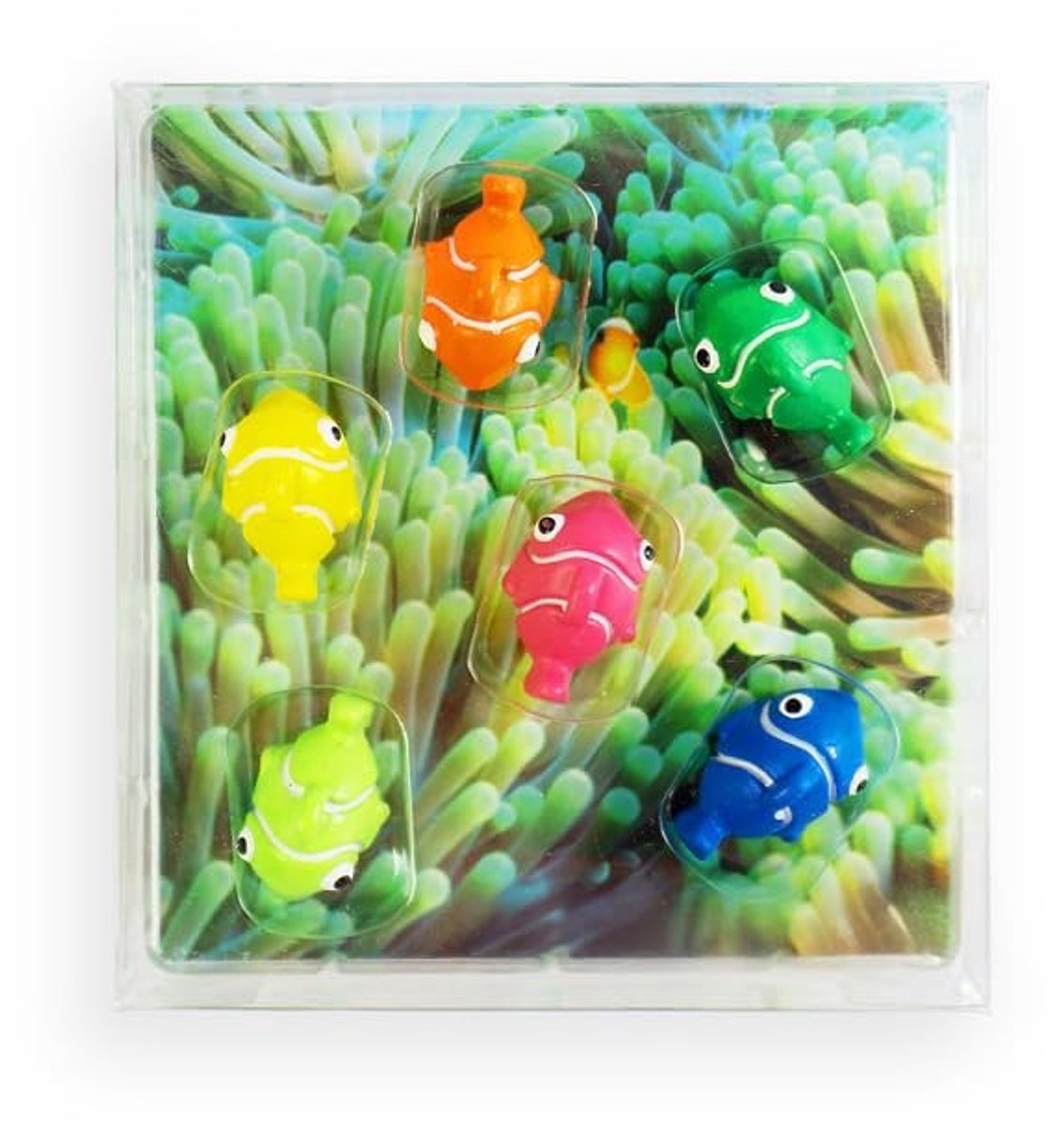 Omgoods - Set van 6 Nemo Vis Magneten - Kleurrijke Fridge Magneten als Decoratie