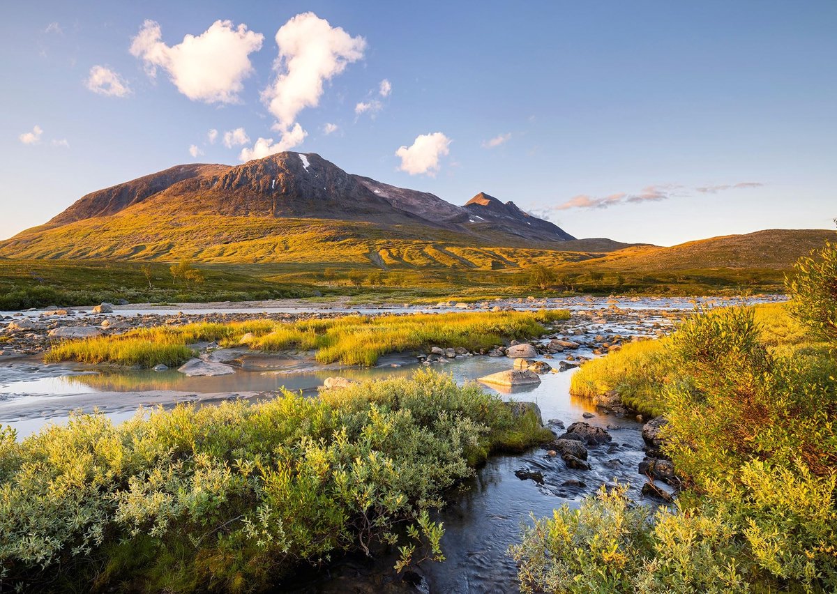 Omgoods - Puzzel 1000 Stukken Sarek National Park