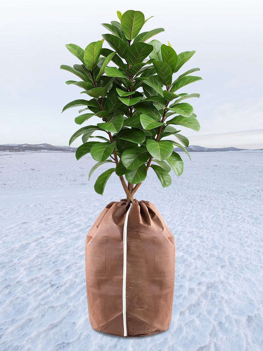 Omgoods - Thermische Potbescherming voor Planten, 60 x 90 cm
